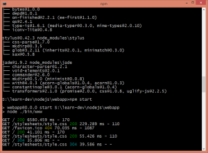 express_console_output